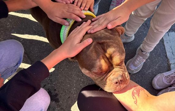 Wastl steht im Mittelpunkt und lässt sich von Kindern streicheln.